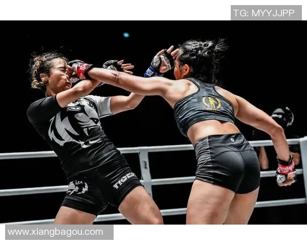 卡威帕与卡利杰的巅峰对决谁将成为拳坛新王者